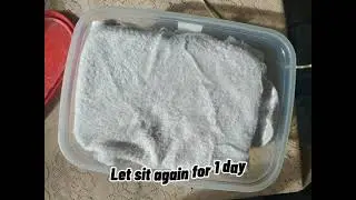 Making Virgin Coconut Oil (VCO) through Fermentation Process