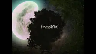 Freequent Flyers - ImMoRTal (remix)