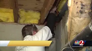 How to prepare your home for Florida freeze