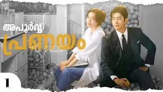 The Potato Lab | S01E1 | The Potato Lab Explained in malayalam | Korean Drama Malayalam