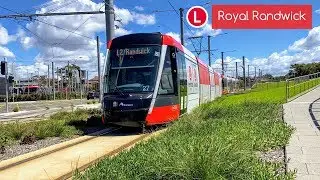 Sydney Light Rail Vlog 43: Royal Randwick