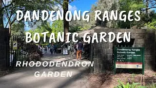 Dandenong Ranges Botanic Garden | National Rhododendron Gardens |Olinda | Victoria ,