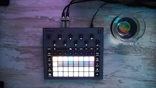 Producing Chill LoFi Beats On The Circuit Rhythm 2.0
