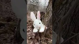 Does a BUNNY Poop in the Woods?