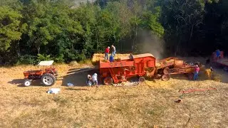 Trebbiatura con macchine d'epoca a Bistagno