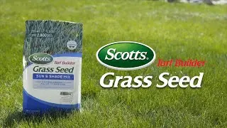 How to Use Scotts&reg; Turf Builder&reg; Grass Seed With 4-in-1 WaterSmart&reg; PLUS Coating Technology