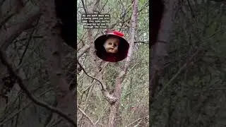 Dolls Head Trail in Atlanta, Georgia
