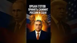 Putin and Orban discussed the Russia-US summit in Budapest.