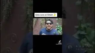 los limones est&aacute;n que arde amigos ☺️ que arden oro verde