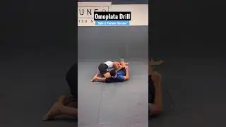 Omoplata Drill