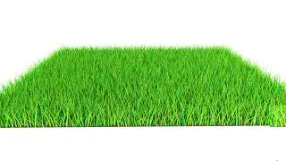 Creating Realistic looking Grass in Maya 2022 with Xgen Expression Editor