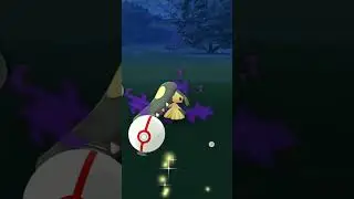 caught shadow mawile 捕捉暗影大嘴娃 #pokemongo #pokemon #mawile
