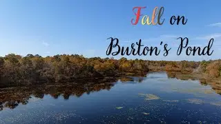 A Taste of Fall - Drone Views of Burton's Pond in Lewes, Delaware | Filmed on DJI Mavic 3