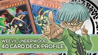 Weevil Underwood Deck Profile - YU-GI-OH! Character Decks