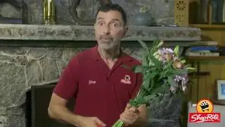 How to Have Long Lasting Flowers