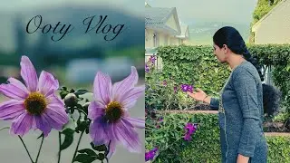 Ooty vlog| Bangalore to Ooty via Bandipur forest|Ooty sterling fern hill resort stay