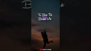 Bulleya ❤️ | Whatsapp status video | Sultan | Full Screen | Musical Shadow