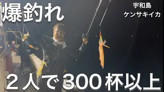 【爆釣】初宇和島ケンサキイカ2人で300杯超え！夜釣りが止まらない