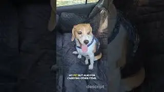Waterproof Pet Seat Cover for Cars #animals  #cat  #dog