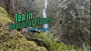 Tea in Beautiful Places: Genmaicha at Soda Creek Falls