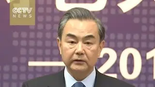 Chinese FM summarizes 2016 foreign policy achievements