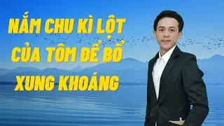 NẮM CHU KÌ LỘT CỦA TÔM ĐỂ BỔ XUNG KHOÁNG.