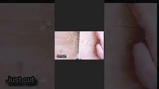 ginger cutting asmr sound effect #shorts #ginger #viral #easy#satisfying #food #asmrsound #justcut