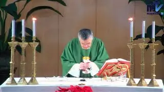 Santa Misa de Hoy | Viernes, I Semana del Tiempo Ordinario (16-01-2026) | P. Santiago Martín, FM