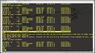 Multivendor OSPF Router-id