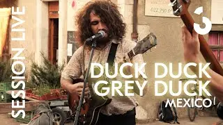 Duck Duck Grey Duck - Mexico - SESSION LIVE
