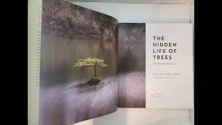 Chapter 27, Street Kids,  from The Hidden Life of Trees by Peter Wohlleben