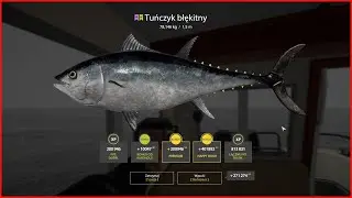 Norwegian Sea -  Russian Fishing 4 rf4 spot 44 #mjplay