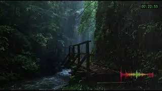 Sleeping Sound for Instant Relaxation to Help You Sleep Deeper and Longer