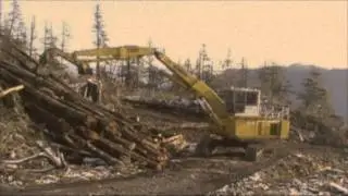 Holberg Forest Operations - Coastal Harvest Systems