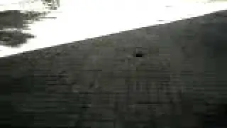 Broma Billetera