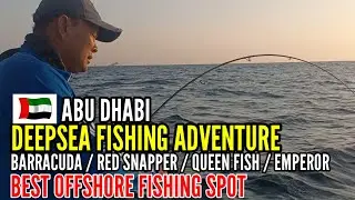 🇦🇪ABU DHABI / DEEPSEA FISHING / BIG FISH OFFSHORE BEST FISHING SPOT @althomschannel#abudhabifishing