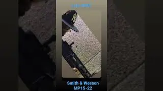 What are you shooting at the range? Like or Dislike | AYO! Daeni #shorts #best #2021 #carbine #ar