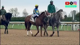Талантливый Colloquial является явным фаворитом на дебют в скачках Lafayette Stakes в 2025 году.