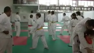 WADOKAY CLIP