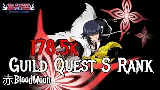 Guild Quest S Rank 178.5k ( Yassko)