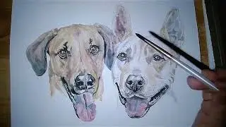 Tucker and Ford the Dogs
