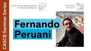 Fernando Peruani - Intermittent behavior across scales | Collective Behaviour Seminar Series