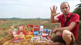 What Does Conflict Palm Oil Look Like in Indonesia?