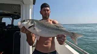 Ultimate thames bass fishing: Lures, Boats, and big BASS @Dawntidefishing