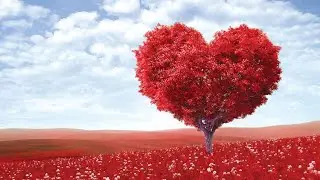 Must See Golden Ring tour   The reason to travel to Russia Episode 2