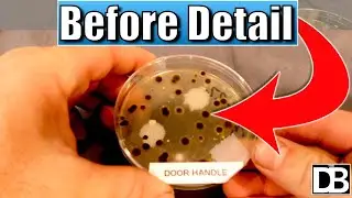 Does Car Detailing Kill Germs? Car Detailing Products Bacteria Experiment!