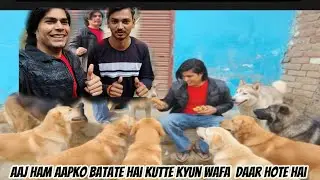 ✅ 🐕