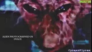 ALIENS, CRYPTOZOOLOGY AND MYSTERIES part 9