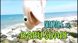 Threadfin Salmon | Mamale | Kugaw Unlocked