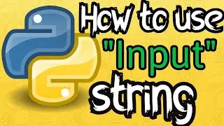 How to use input string(python)